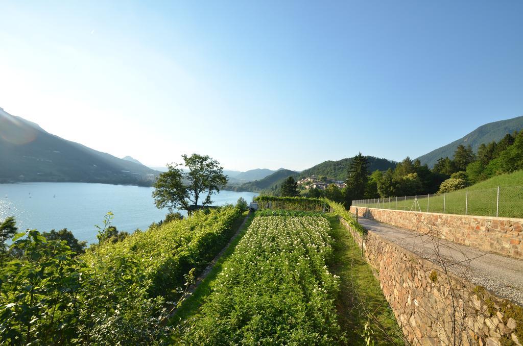 Trentino Appartamenti Oss Tenna 外观 照片